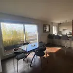 Large Flat With Terraces